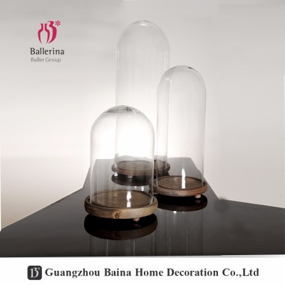 glass domes bell jars