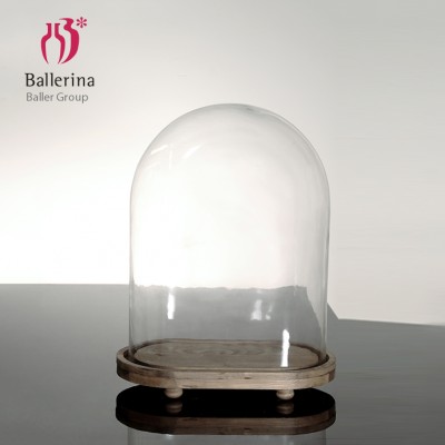 clear glass jar cloche