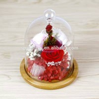 flower glass dome cloche with wood base as decoration