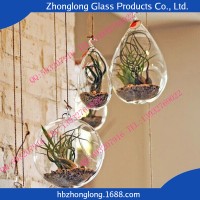 HOT! Transparent Tall Glass Flower Vase