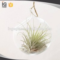 Hanging glass terrarium for home decor